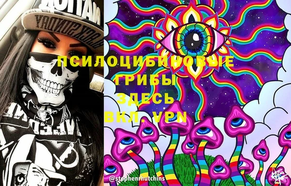 PSILOCYBIN Наволоки